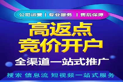 搜索开户返点政策下的成功案例分析